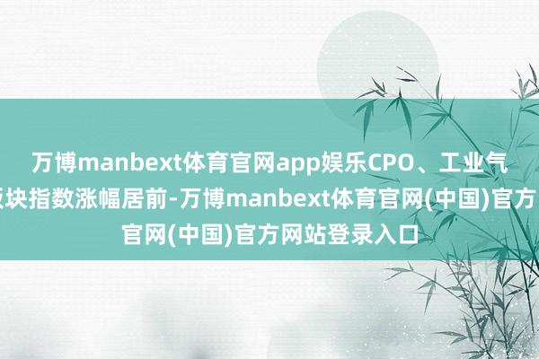 万博manbext体育官网app娱乐CPO、工业气体、油气等板块指数涨幅居前-万博manbext体育官网(中国)官方网站登录入口