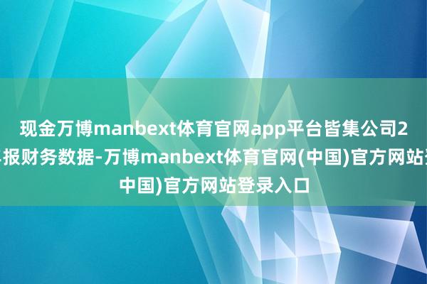 现金万博manbext体育官网app平台皆集公司2025年年报财务数据-万博manbext体育官网(中国)官方网站登录入口