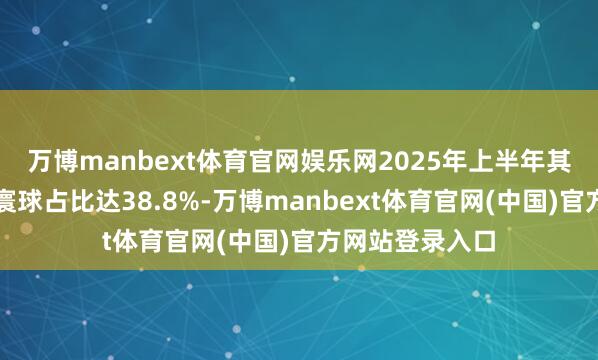 万博manbext体育官网娱乐网2025年上半年其碳酸锂产量在寰球占比达38.8%-万博manbext体育官网(中国)官方网站登录入口