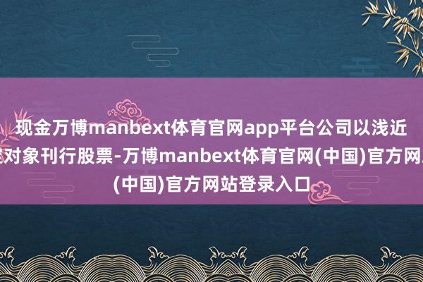 现金万博manbext体育官网app平台公司以浅近花样向特定对象刊行股票-万博manbext体育官网(中国)官方网站登录入口