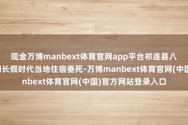 现金万博manbext体育官网app平台祁连县八百旅客竟然没念念到长假时代当地住宿垂死-万博manbext体育官网(中国)官方网站登录入口